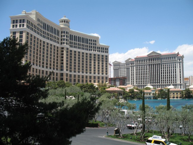 Nevada Democratic Caucus Exhilarating Win for Hillary Clinton Clinton