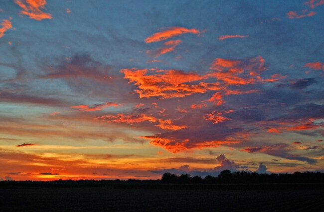 Murder-Suicide of a Mother and Daughter in Thibodaux La murder