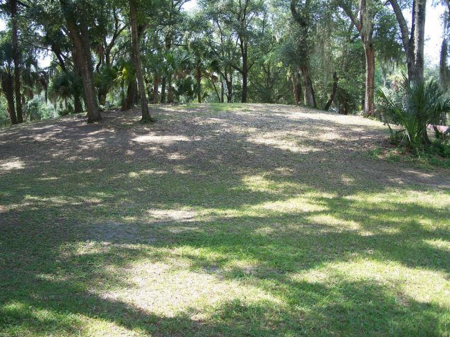 Grandson Is Considered Suspect in Murder of a 79-Year-Old Woman murder