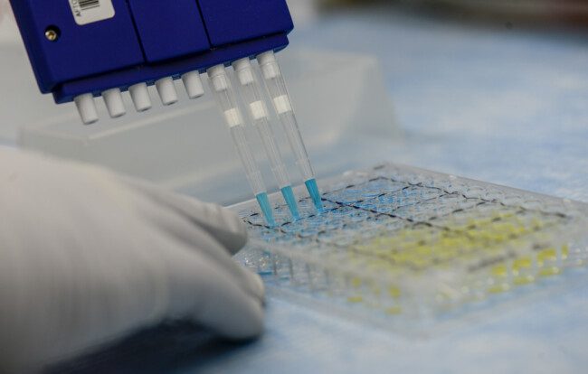 Battling the Zika Virus in the United States Zika