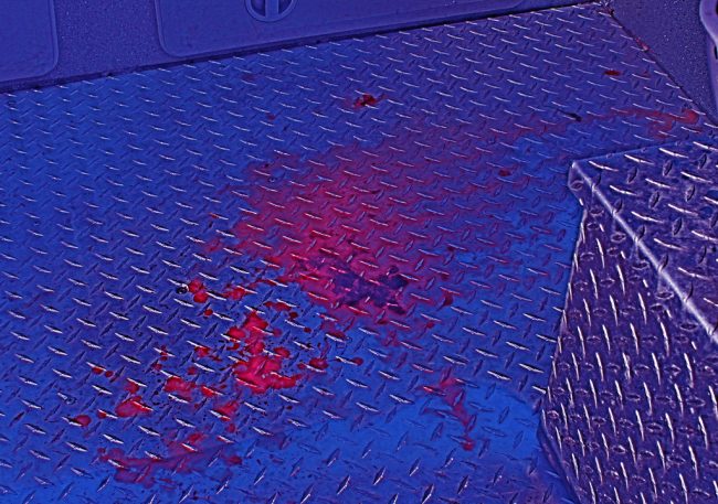 7 Gunned Down in Chicago Including a Pregnant Woman Chicago