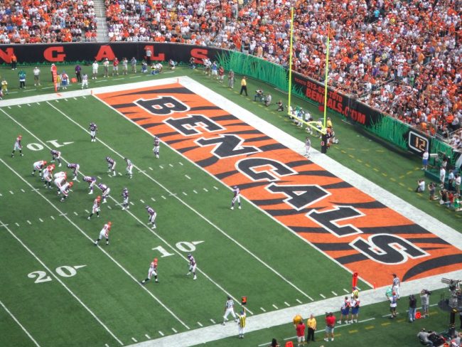 Channel 12 Brad Steinke Leaves After Two Years Channel 12