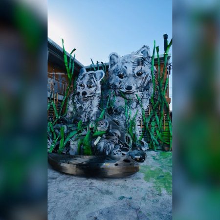 42575364 1944182038977602 7377616043331551232 n