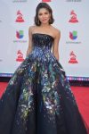 2018 Latin Grammys Nominees! 10 46319938 2013995831996222 4273924322776580096 n