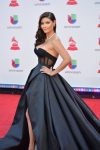 2018 Latin Grammys Nominees! 24 46345056 2013994838662988 8040591829411823616 n