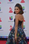 2018 Latin Grammys Nominees! 25 46346193 2013995808662891 6395399568682385408 n