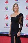 2018 Latin Grammys Nominees! 65 46453168 2013997568662715 6877538028802277376 n