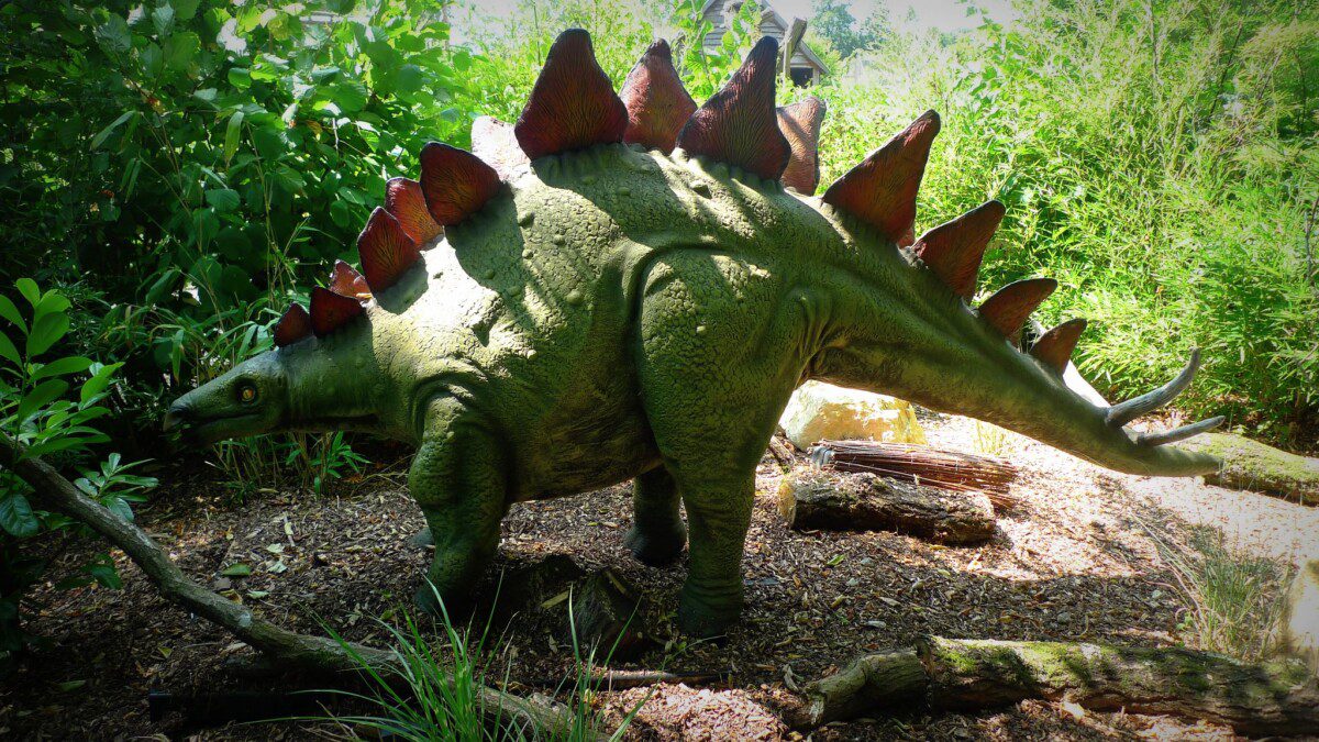 stegosaurus