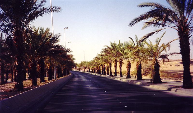 Al-Faghm
