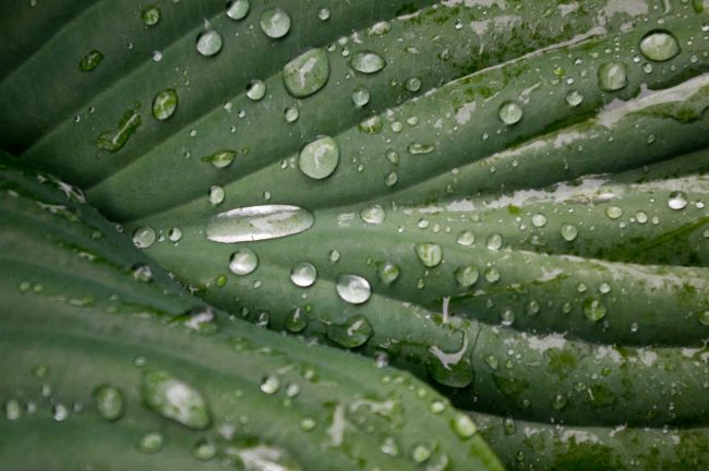 Ionized Alkaline Water Benefits and How It Is Different From Alkaline Water Ionized alkaline water