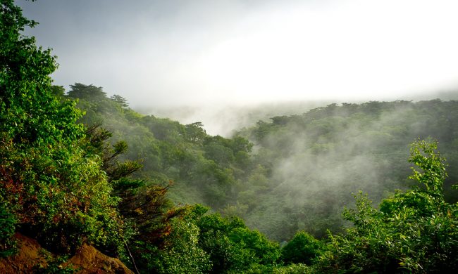 Russia Suffers 7.5-Magnitude Earthquake earthquake