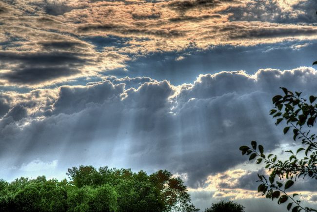 Stuart Whitman Passes Away at the Age of 92 Whitman