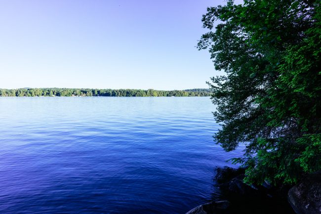 Hagen Mills, Actor From 'Baskets,' Kills Himself and Injures Ex Mills