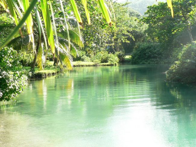 Millie Small, Ska Singer, Passed Away Small