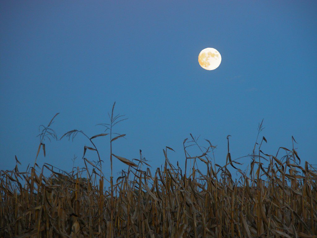 Ful Corn Moon