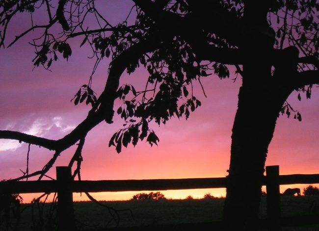 Conchata Ferrell '2 and a Half Men' Star Dies at Age 77 Ferrell