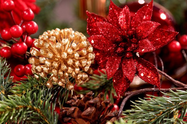 Christmas Celebrations Could Be Similar to Thanksgiving Day Festivities Christmas