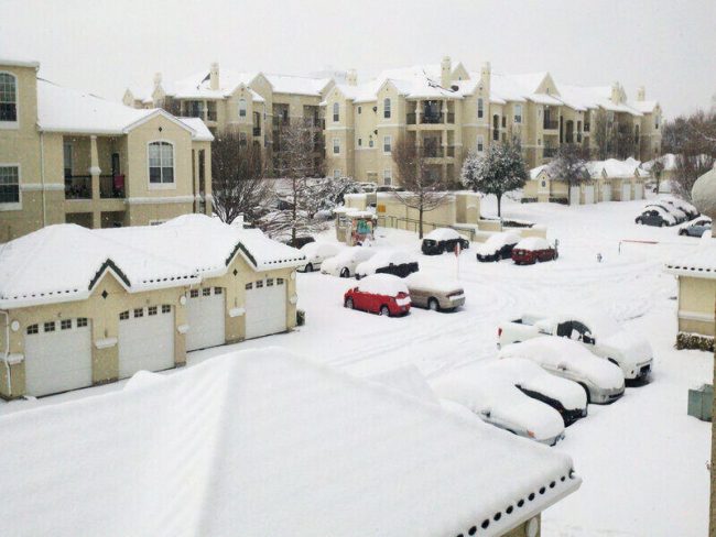 Ted Cruz Jets Off to Cancun Deserting Texans Amid Storm-Related Crisis cruz