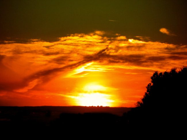 Actress Martha Stewart Dies at Age 98 Stewart