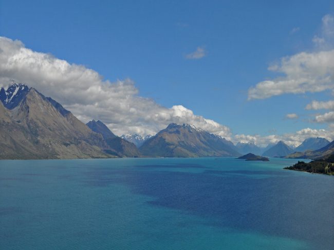 Three Glow-in-the-Dark Sharks Found Off the Coast of New Zealand Shark