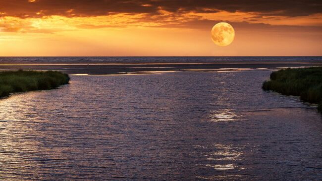'The Addams Family' Star Felix Silla Dies at Age 84 Silla