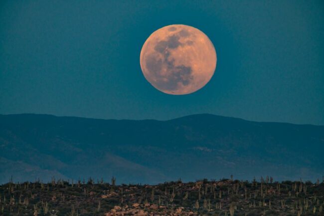 Sucker Moon Will Rise on April 26 Sucker Moon