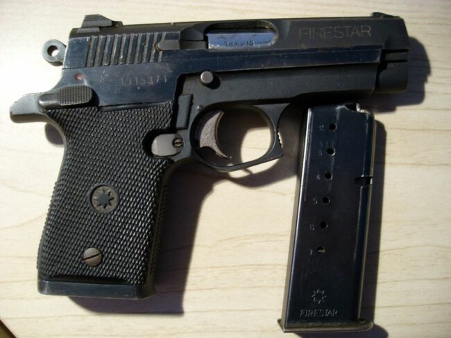 Gun Control Starts in the Home Gun