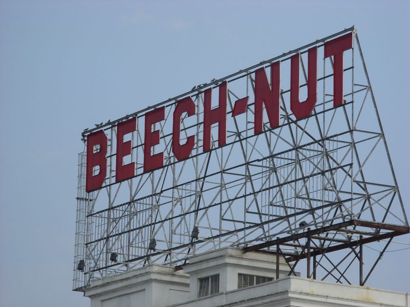 Beech-Nut