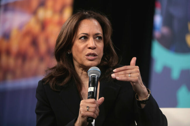 Kamala Harris' Remarks About Rural Communities Prompts Scolding Harris