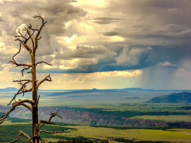 Remembering Former Secretary of Defense Donald Rumsfeld Rumsfeld