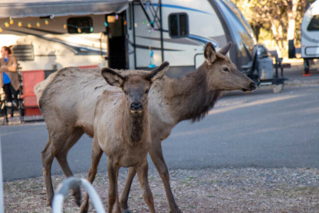 RV Parks Are Worth the Investment RV