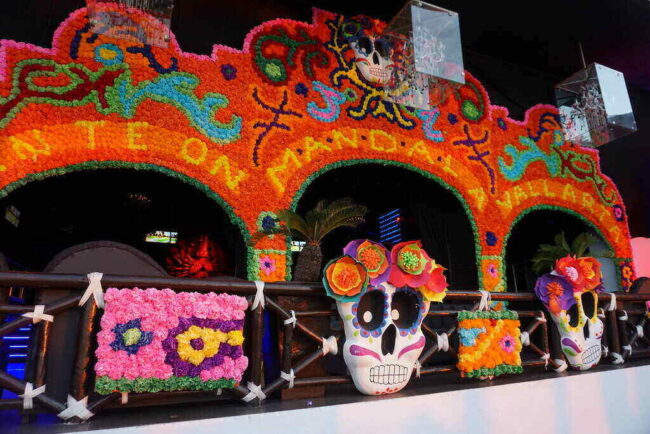 Day of the Dead a Celebration of Life Day of the Dead