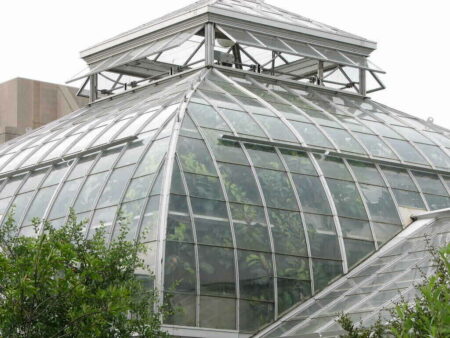 Ways to Invest in Hemp hemp