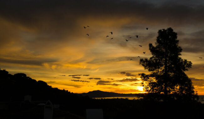 Actor James Michael Tyler Dies at Age 59 Tyler