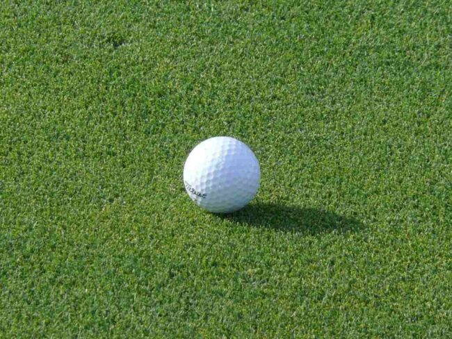 Lee Elder First Black Man to Play at the Masters Dies at 87 Elders