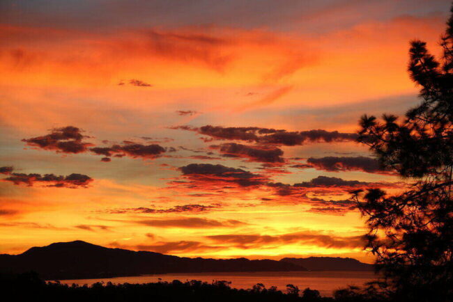Art LaFleur 'The Sandlot' Star Dies of Parkinson's at Age 78 LaFleur