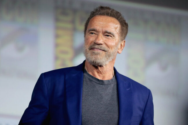 Arnold Schwarzenegger and Maria Shriver Divorce After a Decade Schwarzenegger