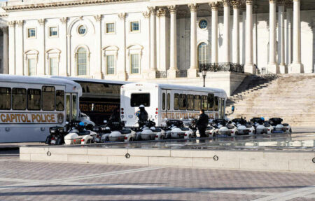 How Domestic Terrorism Became the Greatest Danger to the American People domestic terrorism