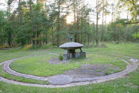 Biological Impact of UFO Sightings on Human Observers UFO