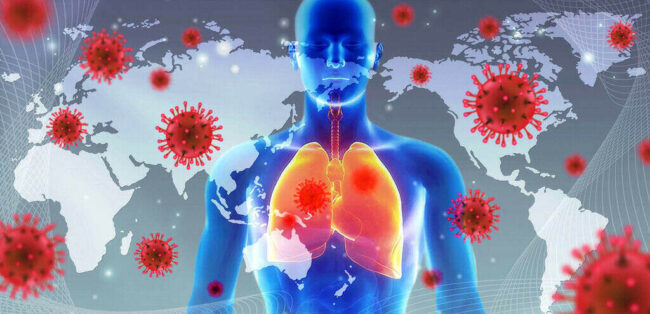 Immune Cell Diversity in the Human Body immune