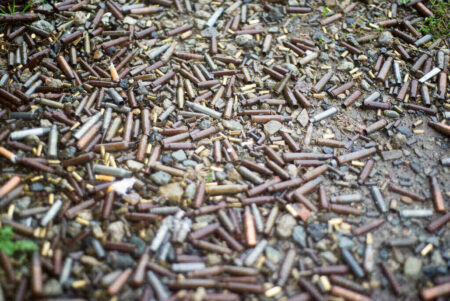 Increasing Domestic Terrorism and Deaths by Gunshot: Who Is Responsible? terrorism