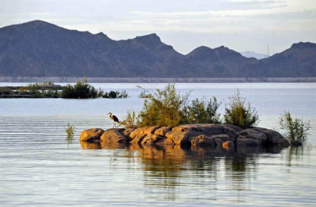 Lake Mead's Lower Levels of Water Leads to the Discovery of Human Remains Lake Mead