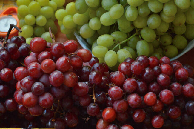 Adding Grapes to Your Diet May Increase Your Lifespan grapes