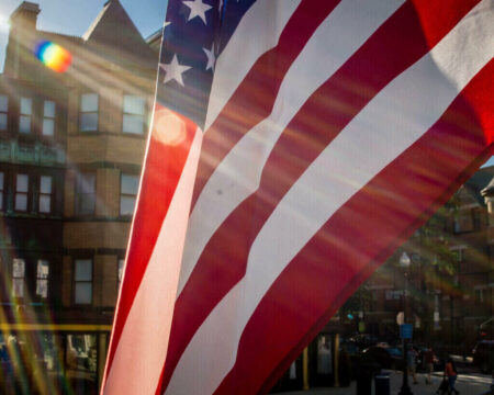 There's No Beauty in the Beast of America's Democracy America