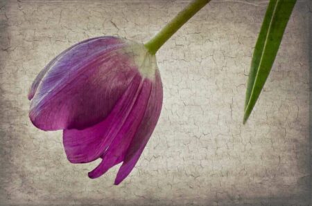 Poetry: The Power in the Art Poetry