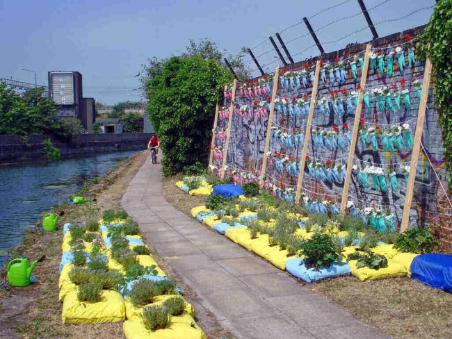 Best Ways to Grow a Garden in a City garden