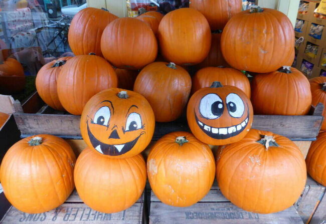 Phalanx Family Services