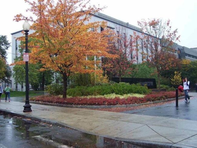 Northeastern 