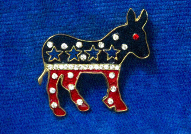 Items to Pass if and When Democrats Control the Legislative Branch of Our Government democrats