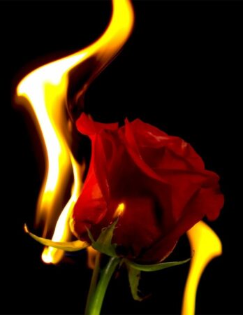 Fight for Racial Equity in 'Woke America' Fight for Racial Equity in Woke America 5